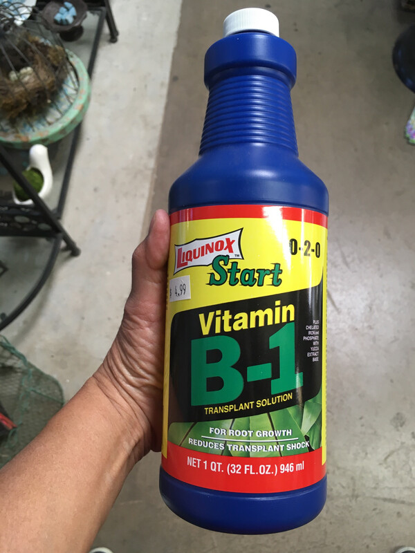 Vitamin B-1 1QT