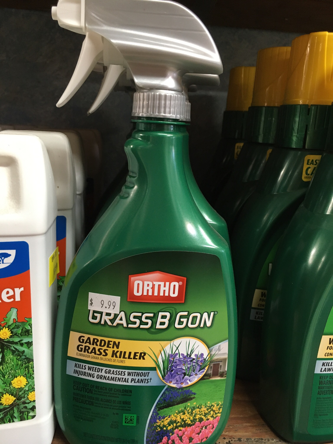 Grass B Gon