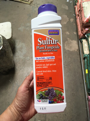 Sulfur Plant Fungicide