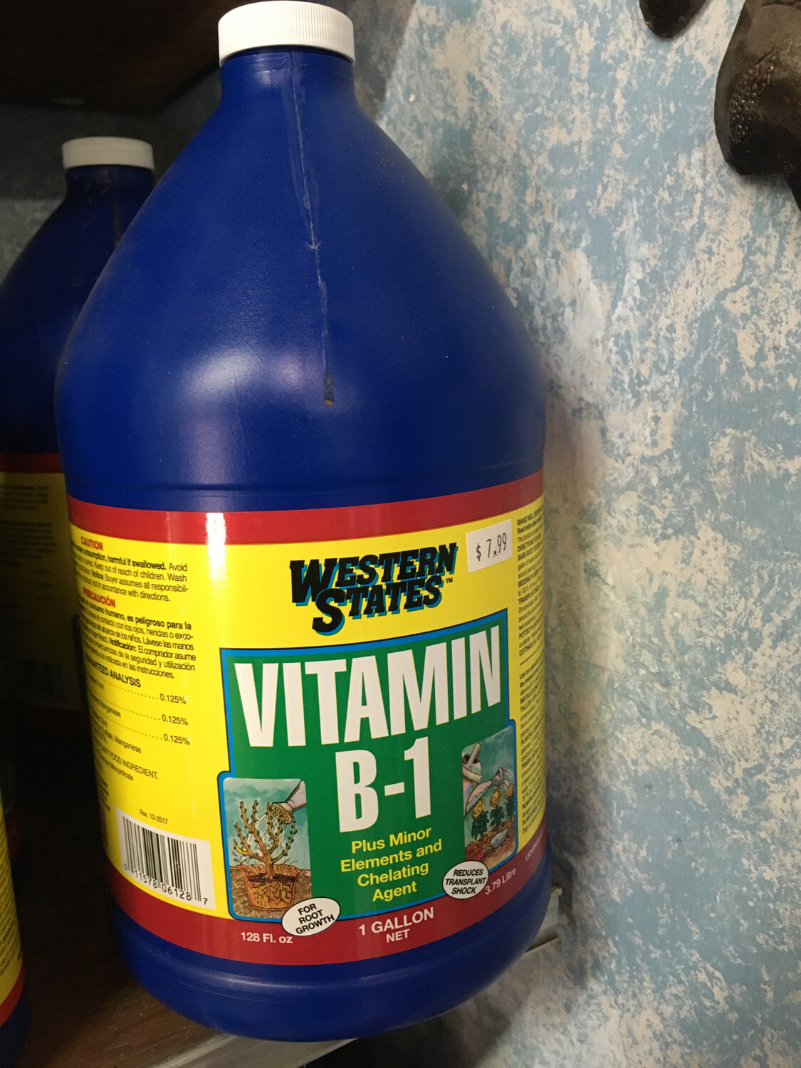 Vitamin B-1 1GAL