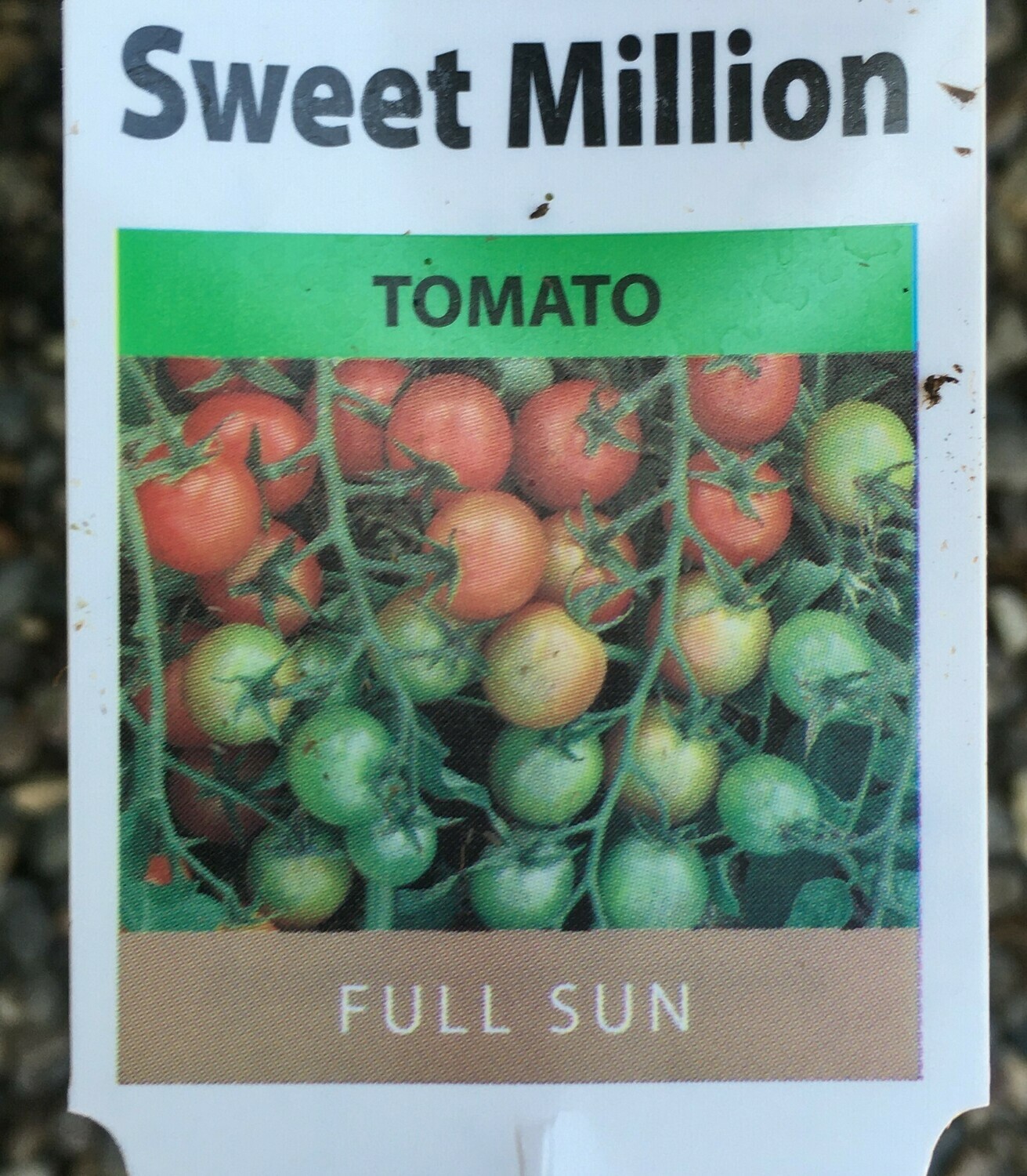 4" Tomato Sweet Million