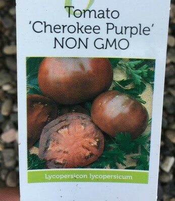 4" Tomato Cherokee Purple