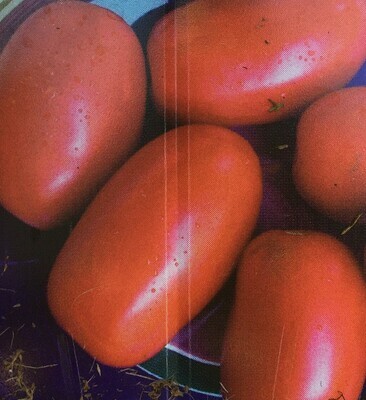 Roma Tomatoes (Paste)