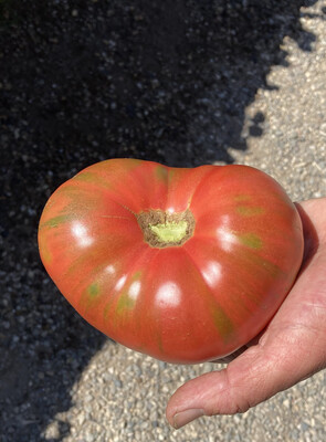 Beefsteak Tomatoes