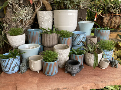 Small Table-top Blue And White Pots