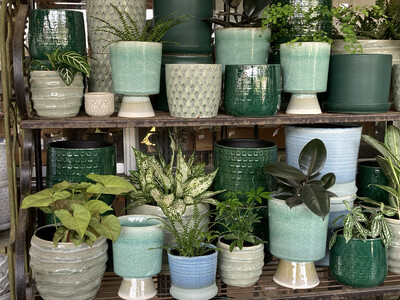 Small Table-top Sage Green And Dark Green Pots