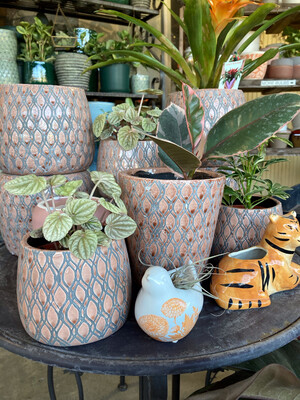 Small Table-top Pink Pots