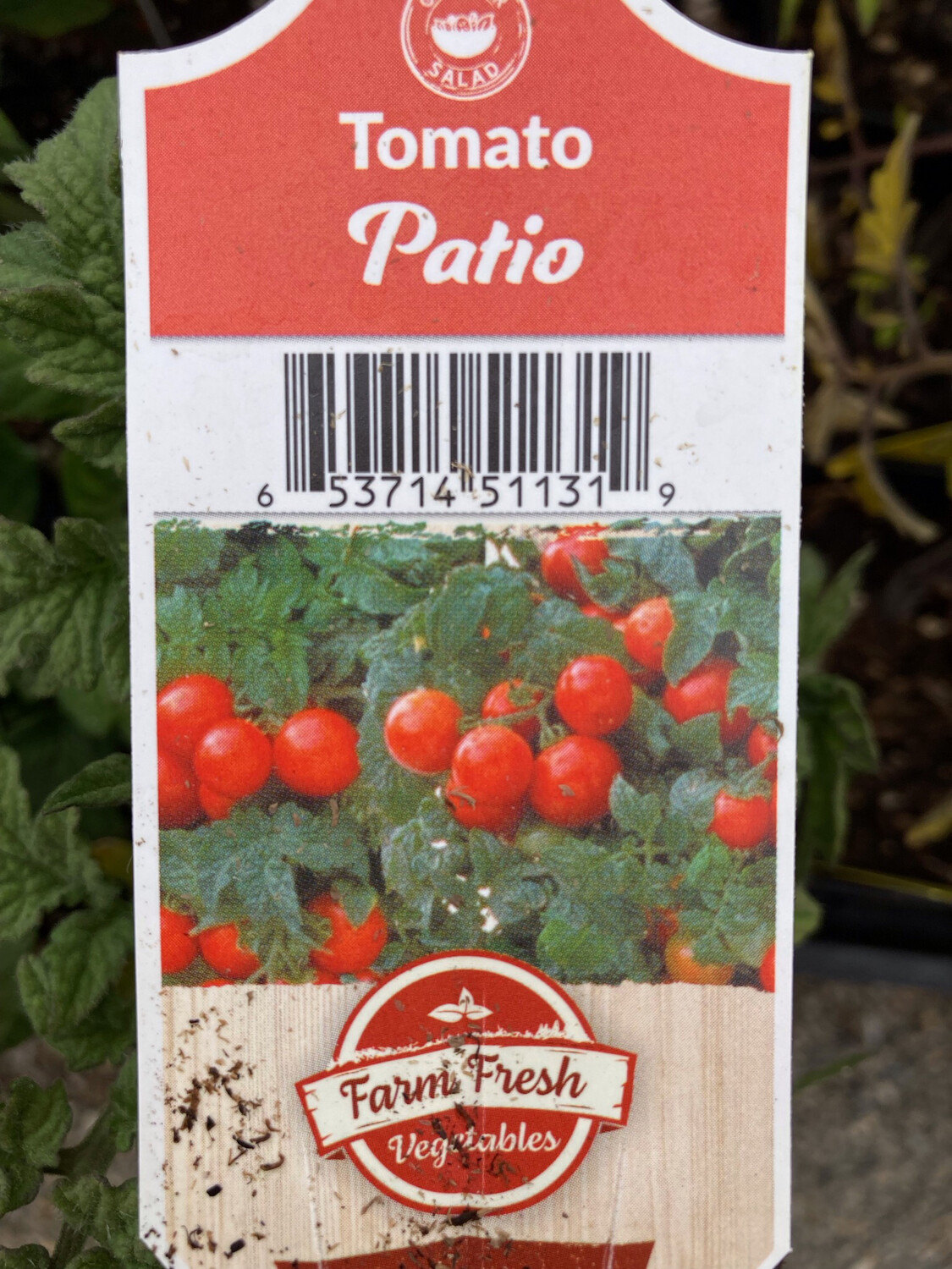 4" Tomato Patio