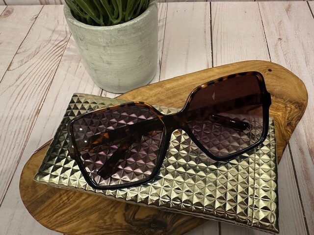 Sunglasses with Case (F)