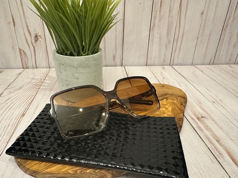 Sunglasses with Case (C) Sunglasses with Case (C)