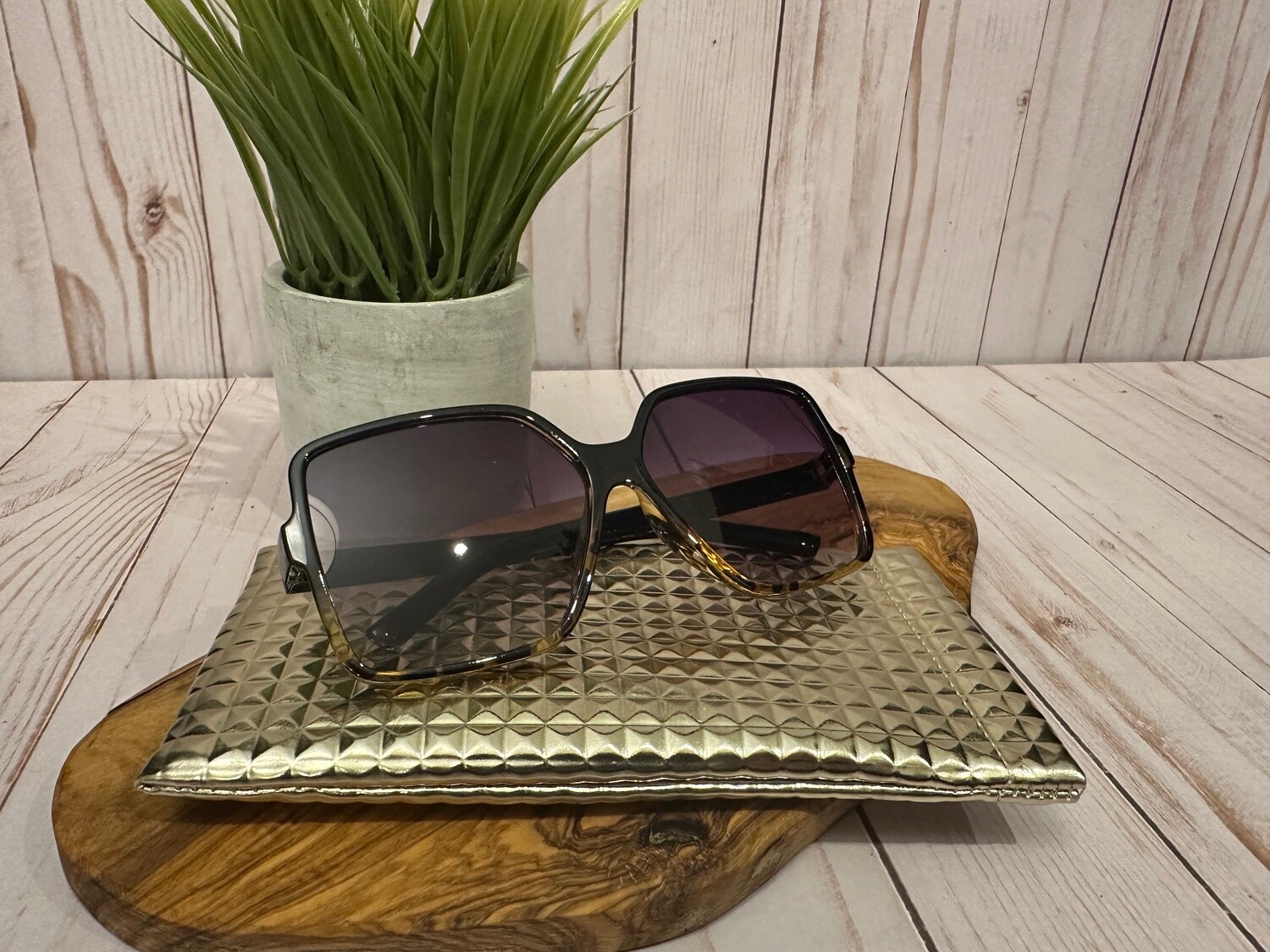 Sunglasses with Case (D)