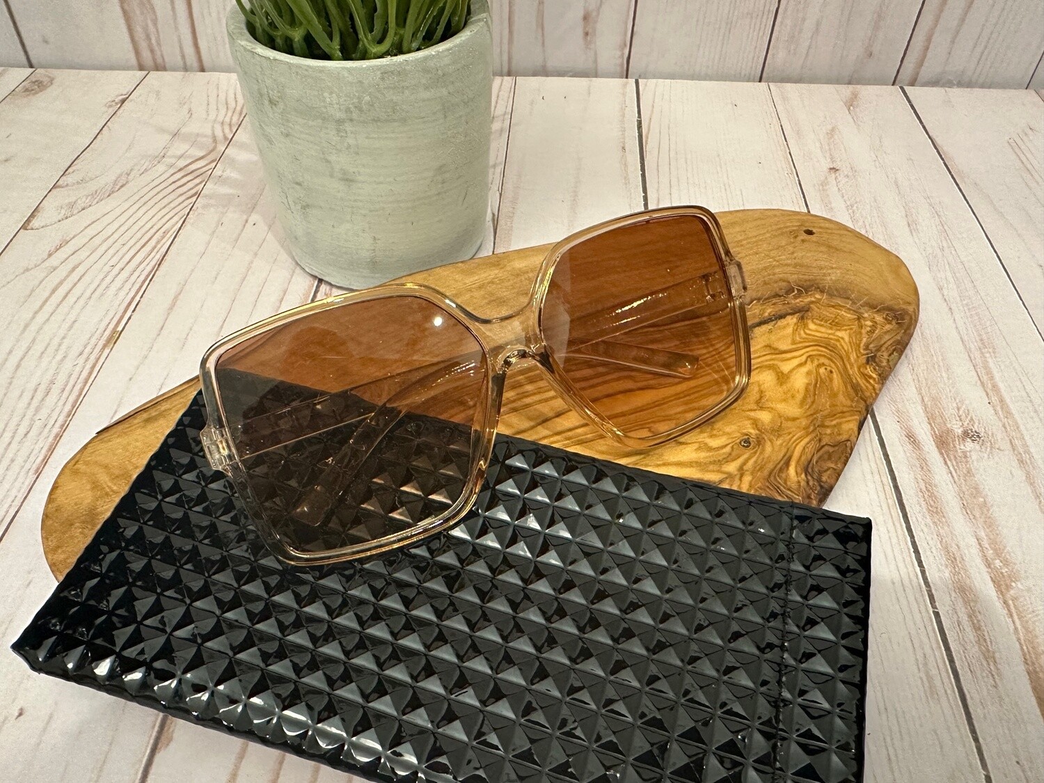 Sunglasses with Case (B)