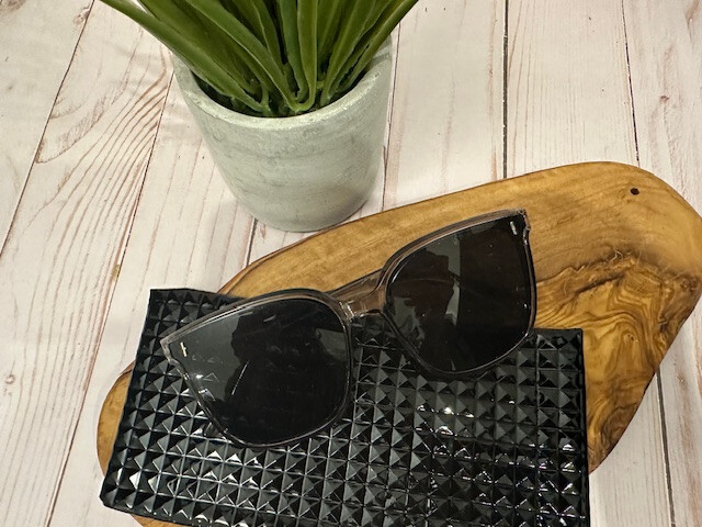 Sunglasses with Case (H)