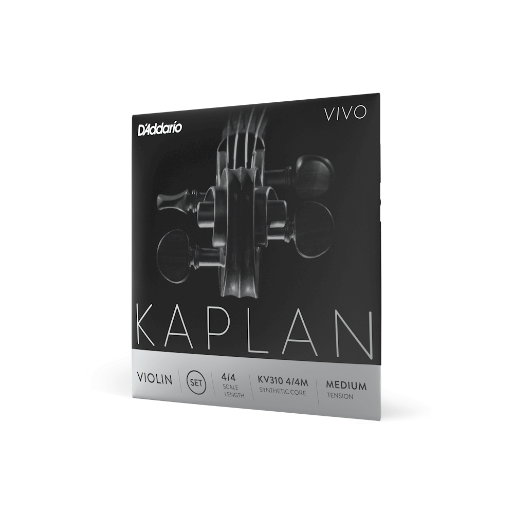 Dadd Kaplan Vivo Violin