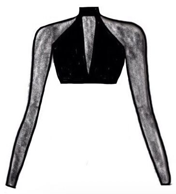 Dance Basics Deep V Long Sleeve Crop Top Dance Basics Deep V Long Sleeve Crop Top