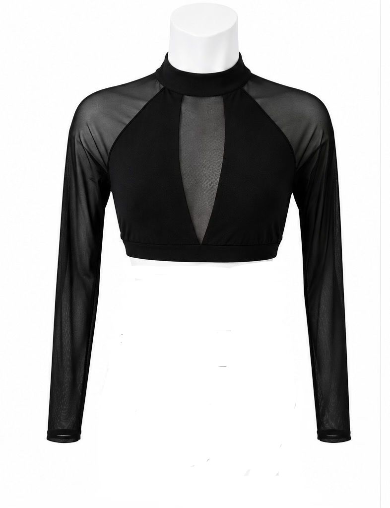 Deep V Long Sleeve Crop Top