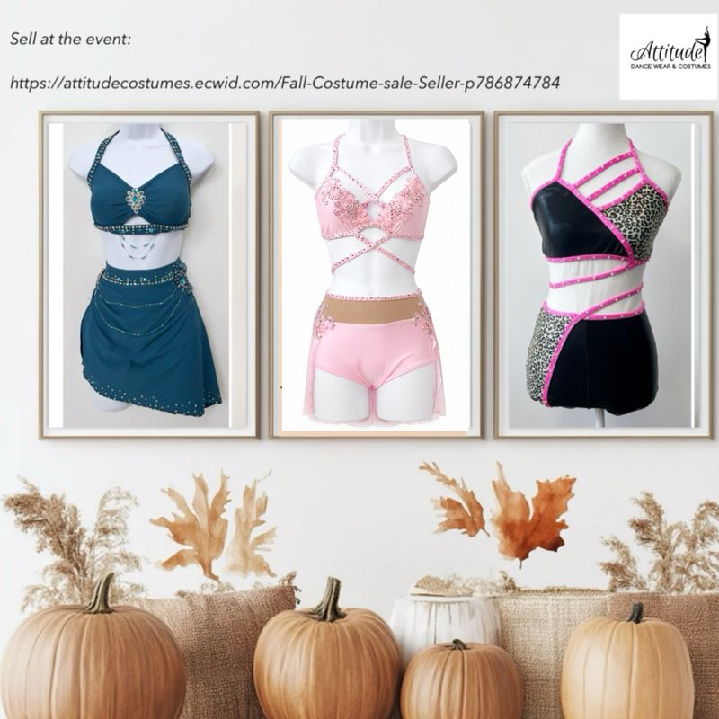 Fall Costume sale - Seller
