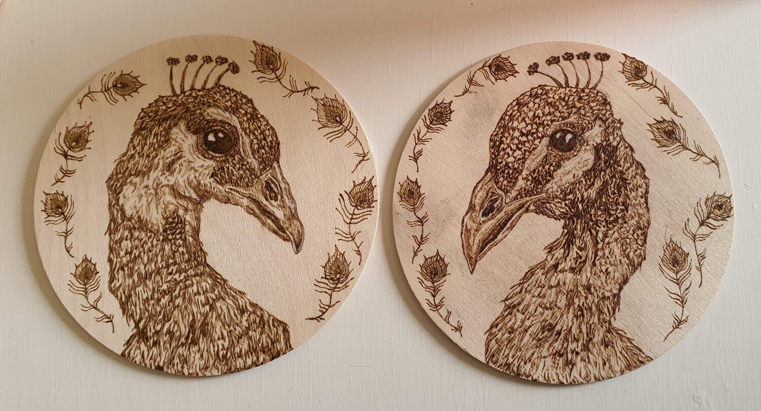 Peacock duo by Kate Kneen (@katek.draws) Peacock duo by Kate Kneen (@katek.draws)