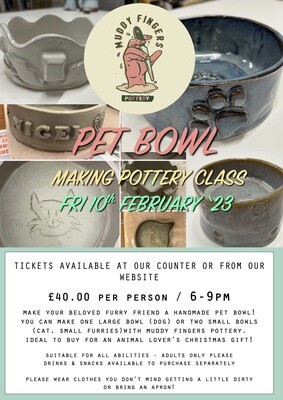 Pet Bowl making session at Hive - Friday 10th February, 6pm - 9pm