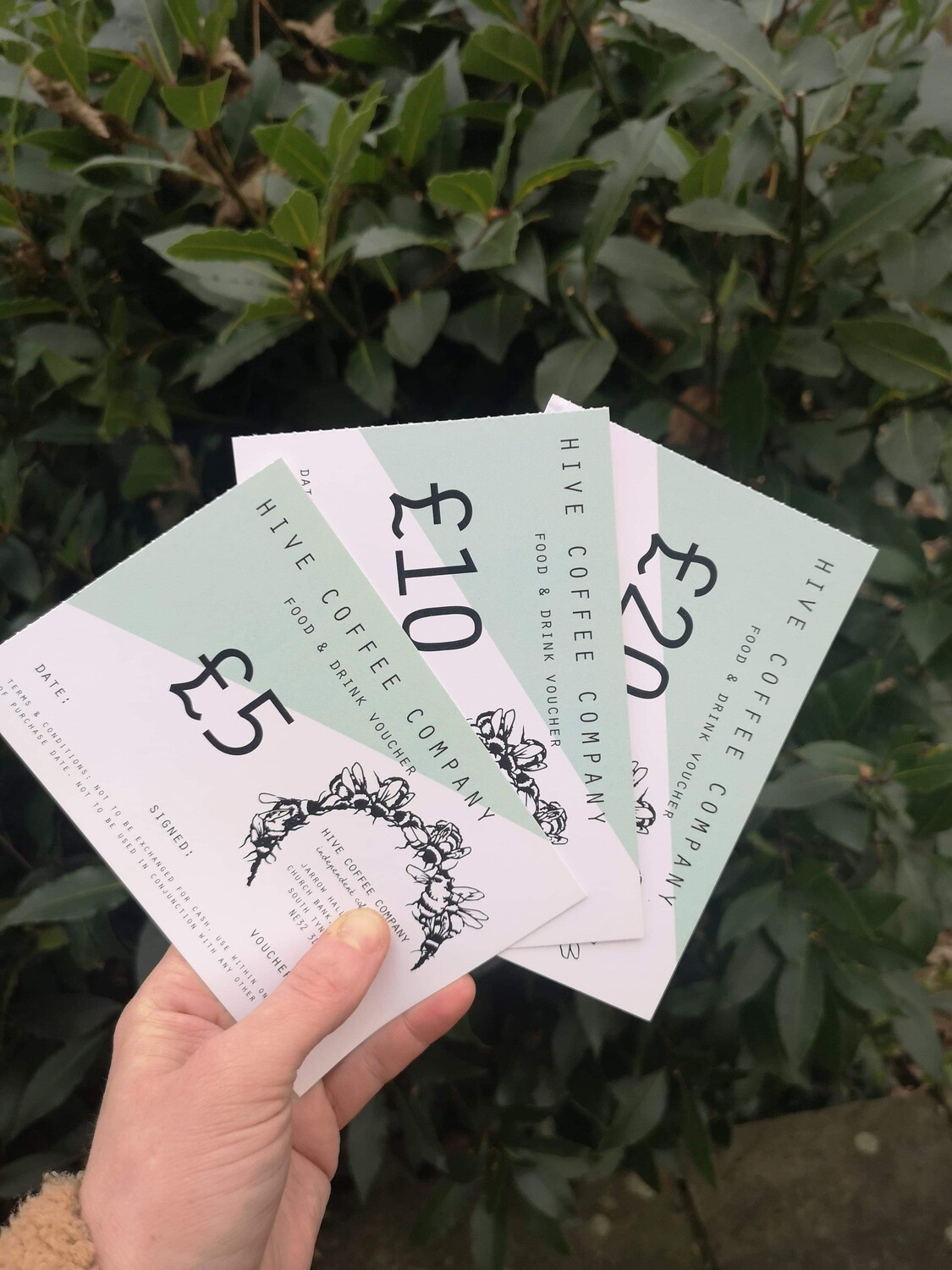 Hive Coffee Company Voucher