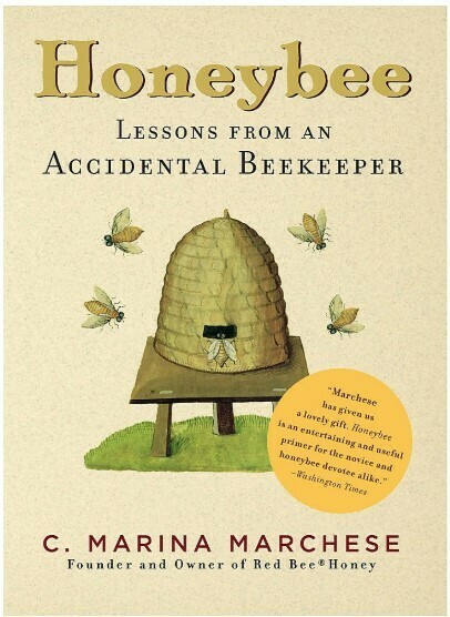 Honeybee Lessons From an Accidental Beekeeper