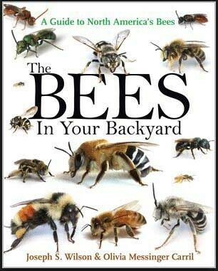 The Bees in your Backyard