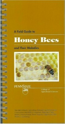 A Field Guide to Honey Bees
