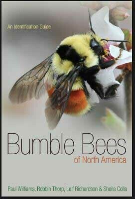 Bumble Bees of North America