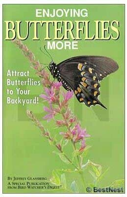 Enjoying Butterflies More