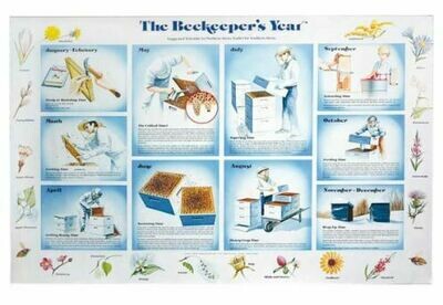 Beekeepers Year Chart-BM-340