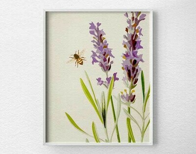 Bee Poster on Lavender Flower 11X14