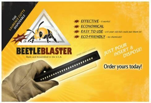 Beetle Blaster Trap-DC-685