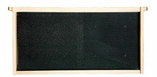 Frames- Assembled Black Rite Cell Foundation