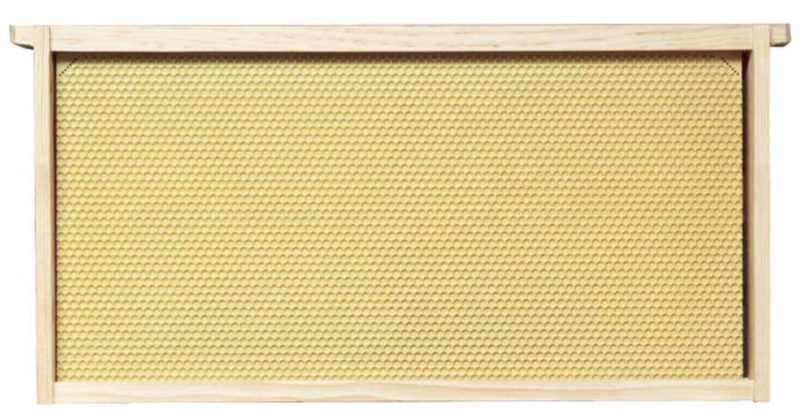 Frames-Assembled Yellow Plastic Foundation