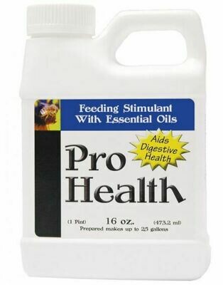 Bee Health