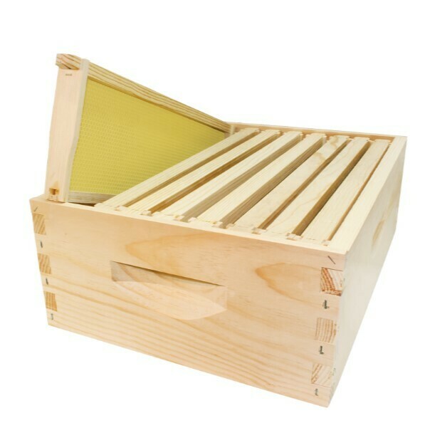 Complete 10F Super - Wood Frames/Acorn Plastic 