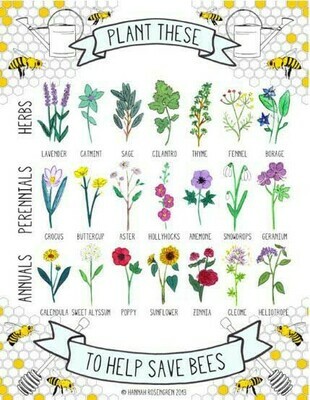 Plant These/Save Bees Postcard