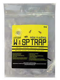 Wasp Trap - Catchy