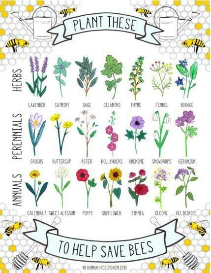 Plant These/Save Bees 8x10 Print
