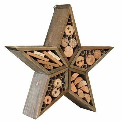 Star Insect House
