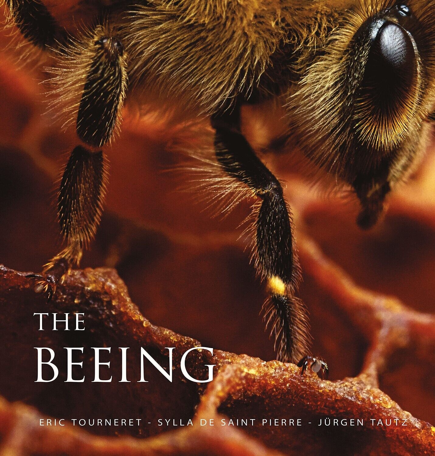  The Beeing