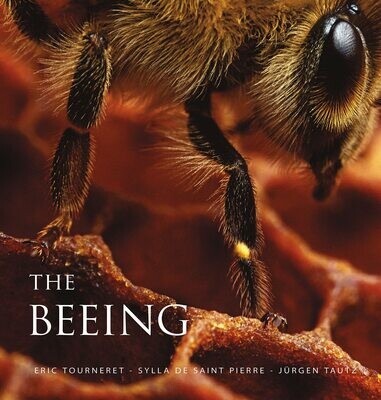  The Beeing