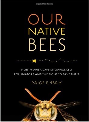 Native Pollinators