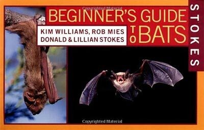 Beginner's Guide To Bats
