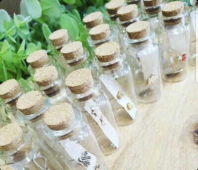 Earrings in a Bottle
