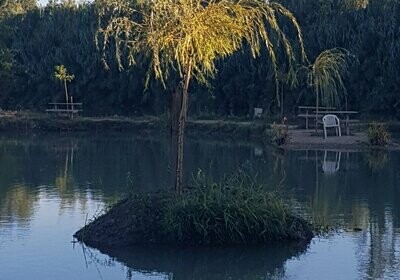 A la Pêche