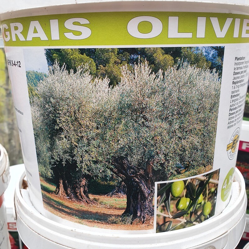 Engrais Olivier