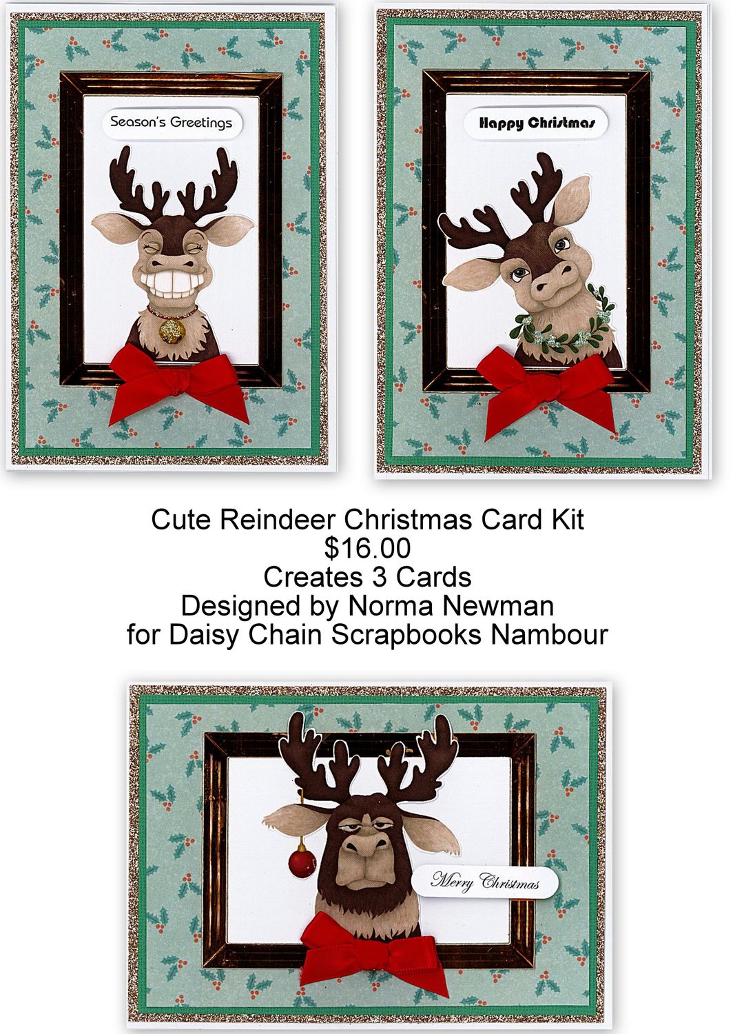 Cute Reindeer Christmas Card kit