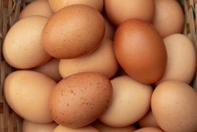 Eggs - Free Range Local (Jumbo) - Per Dozen