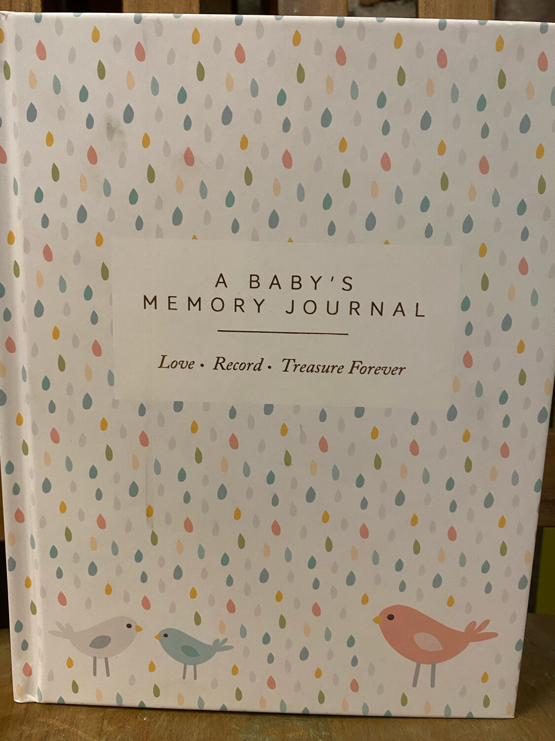 A Baby's Memory Journal